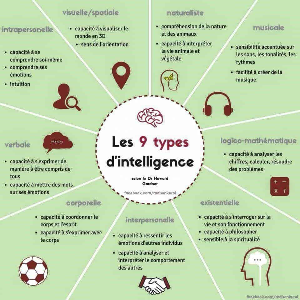 intelligences multiples : les 9 types d'intelligence (Dr Howard Gardner)