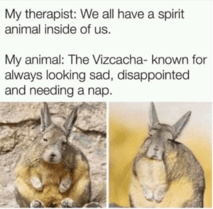 test chronotype animal