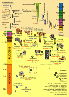 Hominines2004-A4