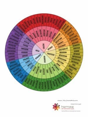 Roue des Emotions