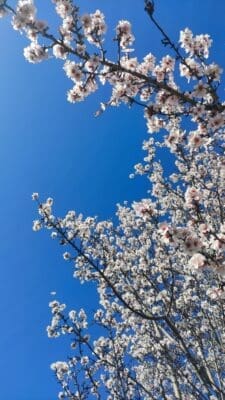 IMG_20220227_111604