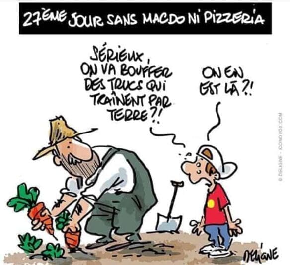 IMG_17011 légumes