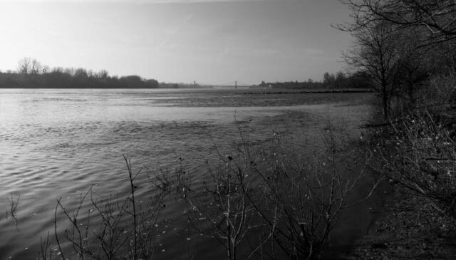 2016 013_Ancenis