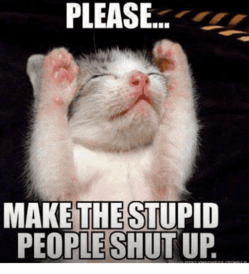 please-make-the-stupid-people-shut-up-minou