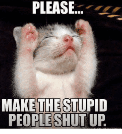 please-make-the-stupid-people-shut-up-minou