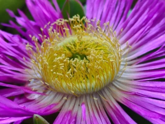 IMG_20240229_091151