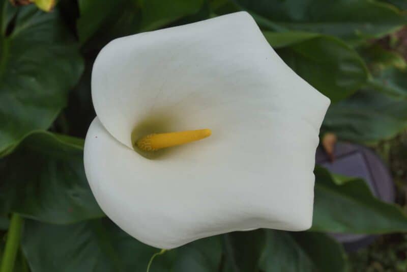 DSC00640