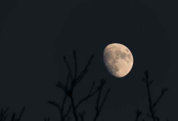 2016 014_Ancenis