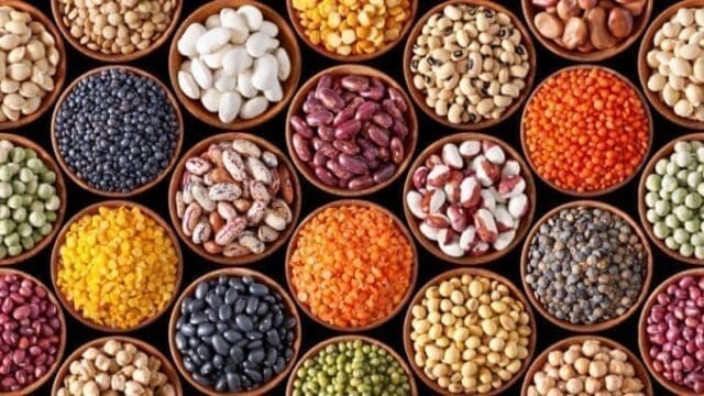 AdobeStock_41953715-e1554284738735-678x381