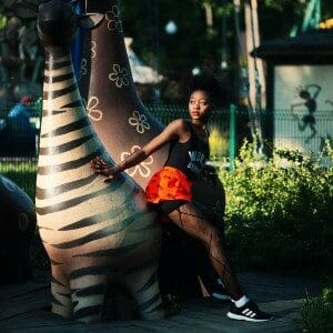 Logo du groupe Femme zèbre