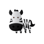 Photo de groupe de Adulte zèbre